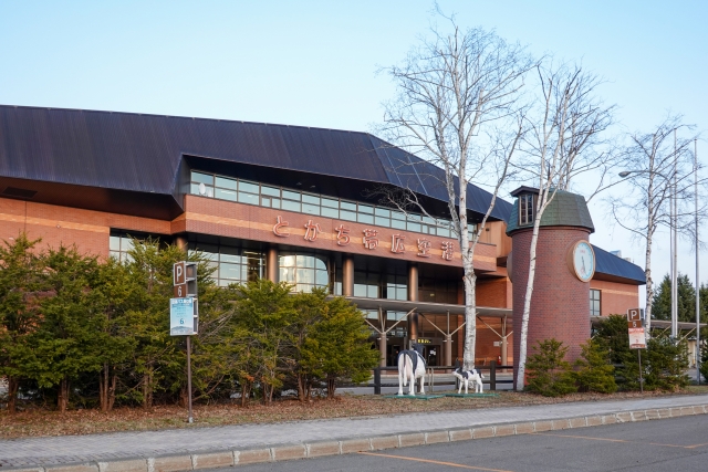 which-hokkaido-airport-is-best
